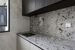 Tembusu Grand (D15), Condominium #560236061